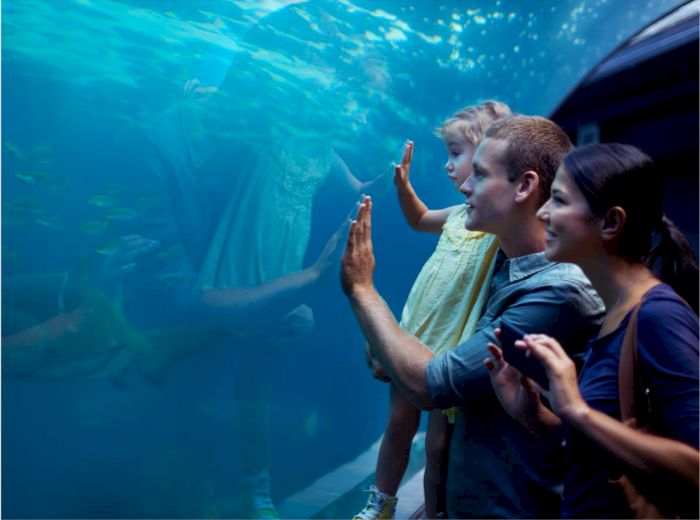 A family of three, including a young child, enjoys observing fish through the glass at an aquarium, with reflections visible in the glass.