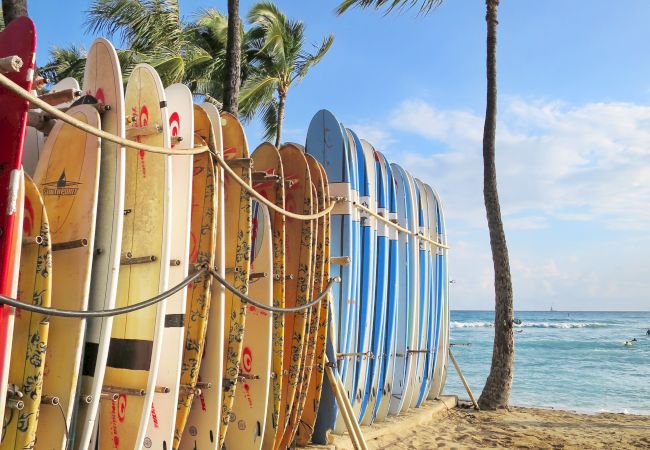 A beach scene with surfboards lined up against a rack, palm trees, a sunny sky, and the ocean in the background.