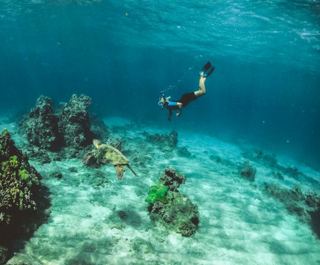 A snorkeler swims underwater near coral formations, observing a sea turtle in a clear blue ocean.